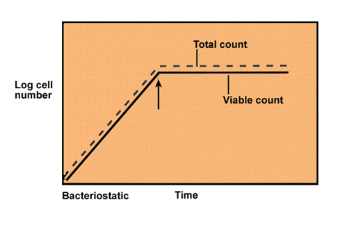 Comprende y conoce el crecimiento microbiano