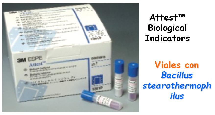 Comprende y conoce el crecimiento microbiano
