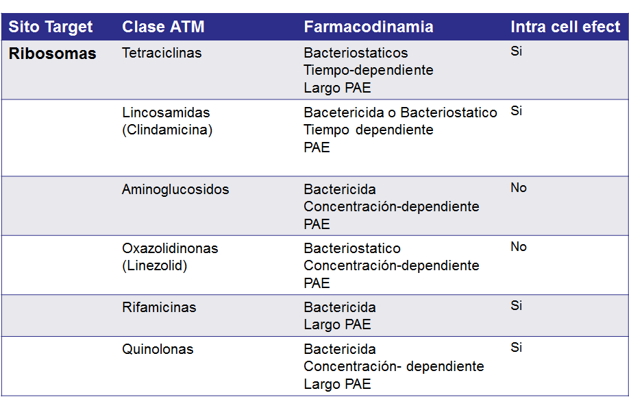 Comprende y conoce el crecimiento microbiano