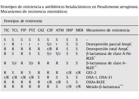 Comprende y conoce el crecimiento microbiano