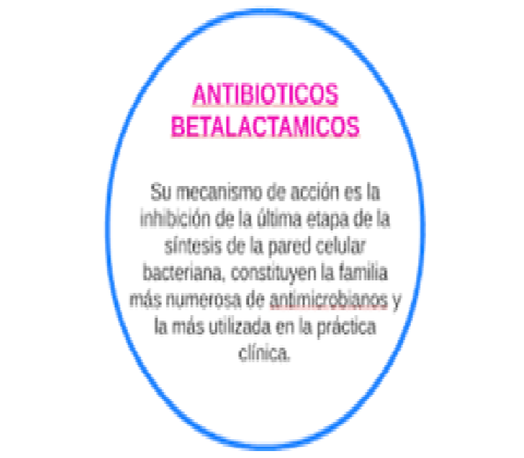 Comprende la acción de las enzimas en la cadena respiratoria, fermentativa y de los antimicrobianos.	