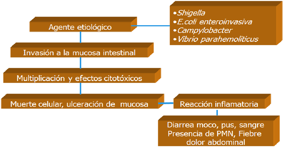 Describe las características, patogenicidad, vías de transmisión y prevención. Enterobacterias, Clostridium y Bacillus.