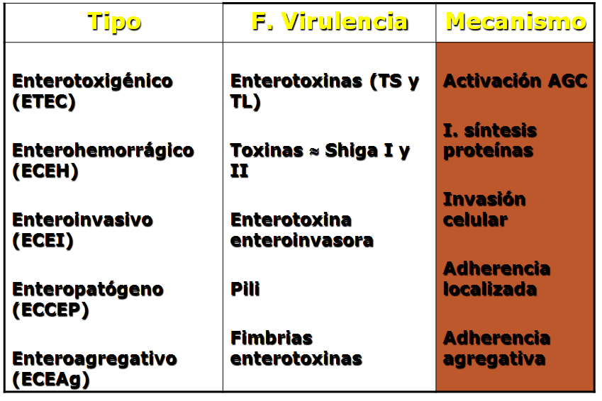 Describe las características, patogenicidad, vías de transmisión y prevención. Enterobacterias, Clostridium y Bacillus.