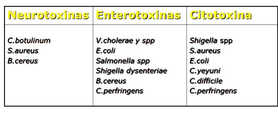 Describe las características, patogenicidad, vías de transmisión y prevención. Enterobacterias, Clostridium y Bacillus.