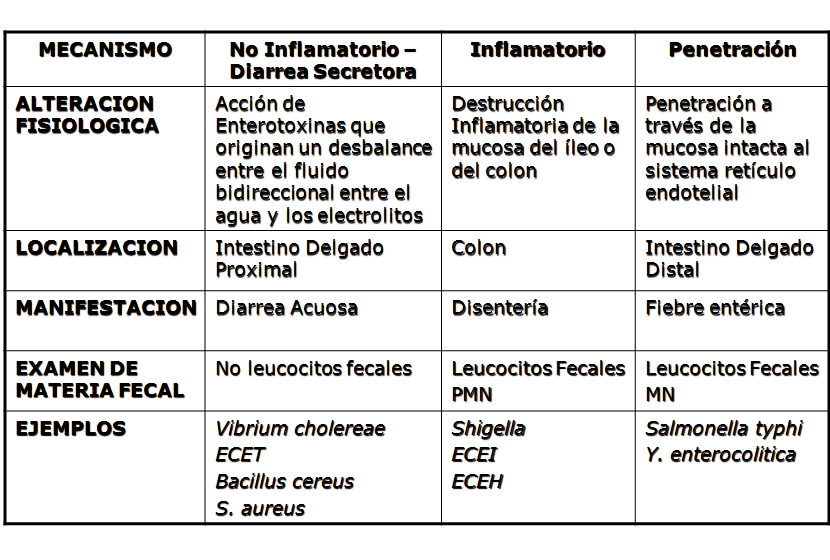 Describe las características, patogenicidad, vías de transmisión y prevención. Enterobacterias, Clostridium y Bacillus.
