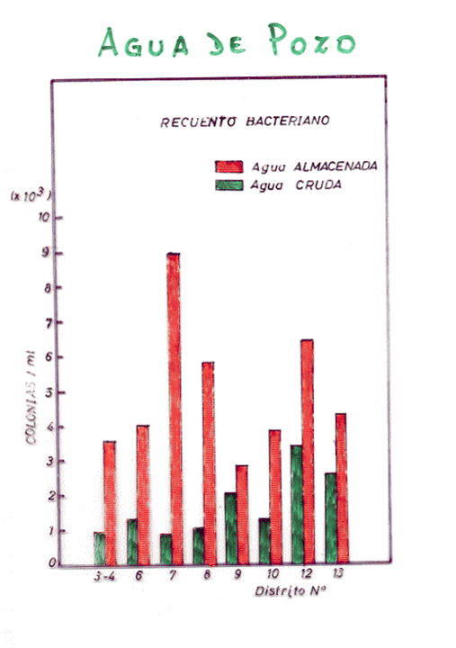 Campylobacter, Yersinia y Helicobacter pylori.