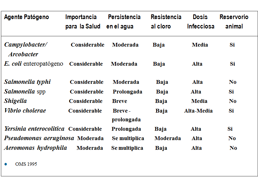 Campylobacter, Yersinia y Helicobacter pylori.