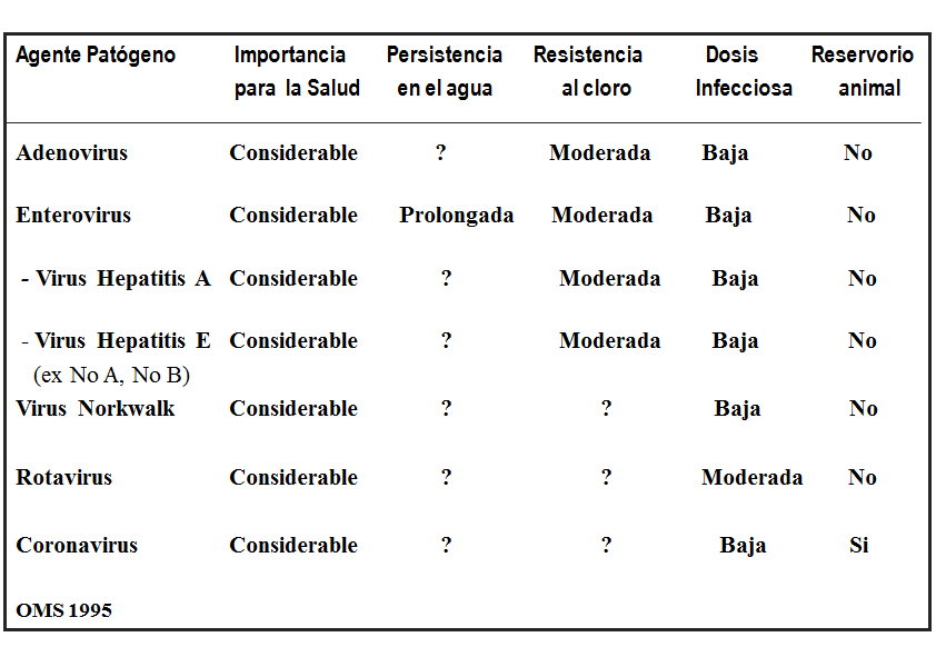 Campylobacter, Yersinia y Helicobacter pylori.