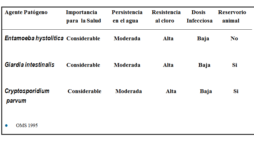 Campylobacter, Yersinia y Helicobacter pylori.
