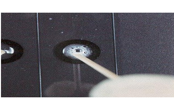Describe las características, patogenicidad, vías de transmisión y prevención. Staphylococcus y Streptococcus.