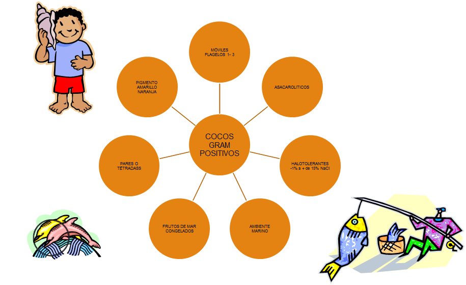 Describe las características, patogenicidad, vías de transmisión y prevención. Staphylococcus y Streptococcus.