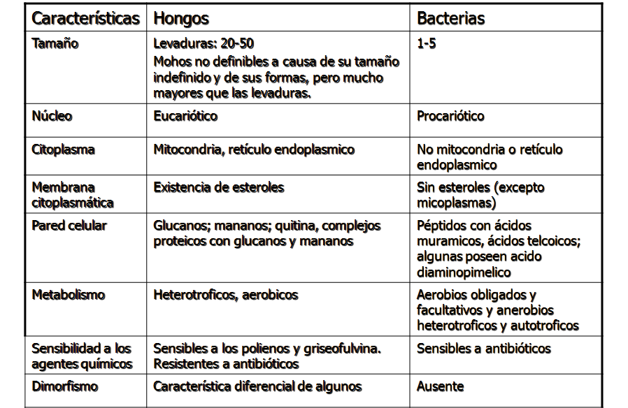 Describe las características diferenciales de los géneros de levaduras