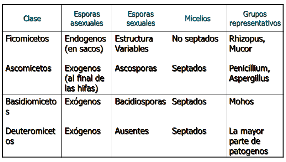 Describe las características diferenciales de los géneros de levaduras