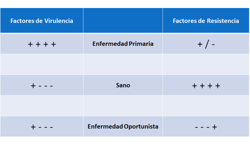 Describe las características diferenciales de los géneros de levaduras
