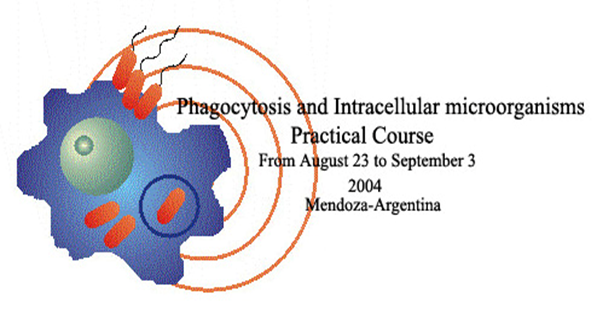 Describe las características, patogenicidad, vías de transmisión y prevención. Staphylococcus y Streptococcus.