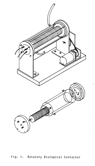 Describe las características, diferenciales de los géneros de mohos.