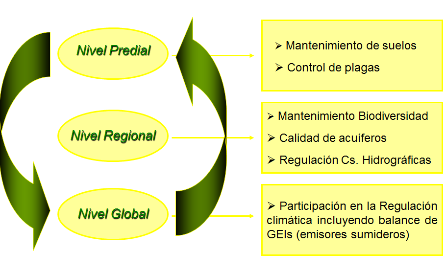 Pérdida de biodiversidad, causas básicas