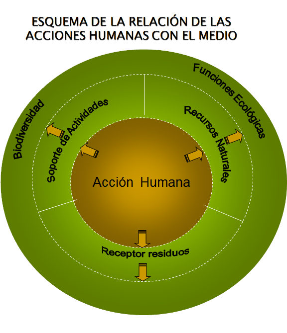 Pérdida de biodiversidad, causas básicas