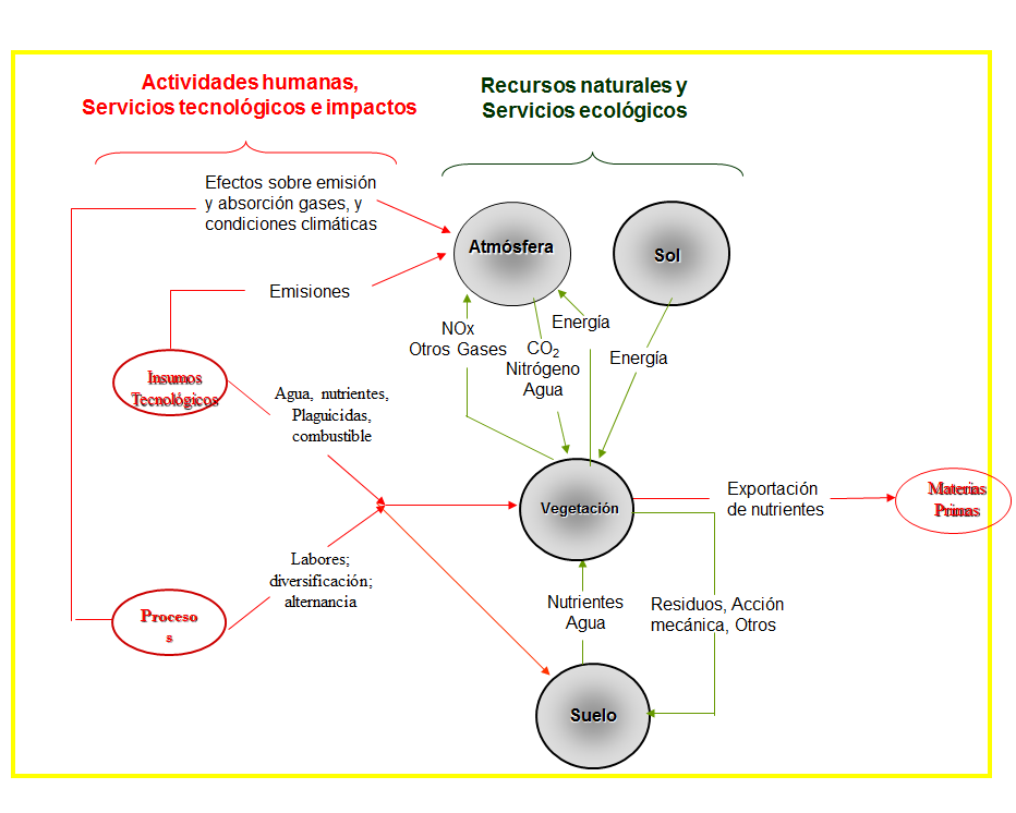 Pérdida de biodiversidad, causas básicas