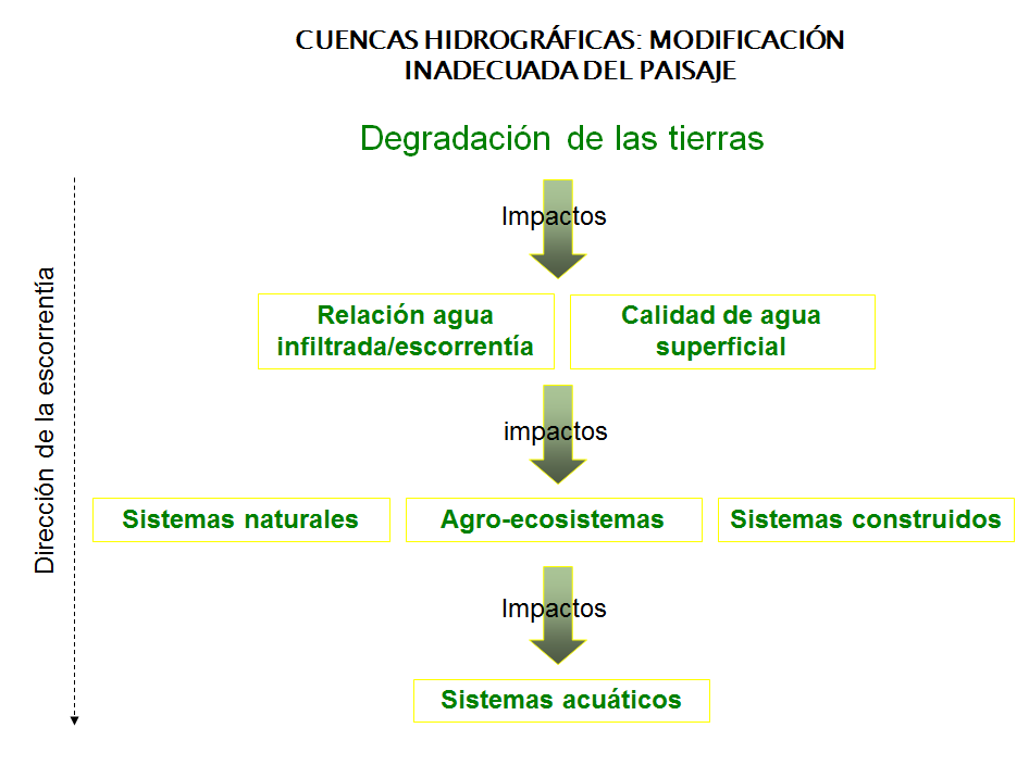 Pérdida de biodiversidad, causas básicas