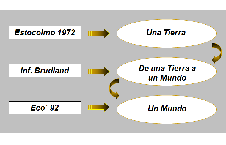 Pérdida de biodiversidad, causas básicas