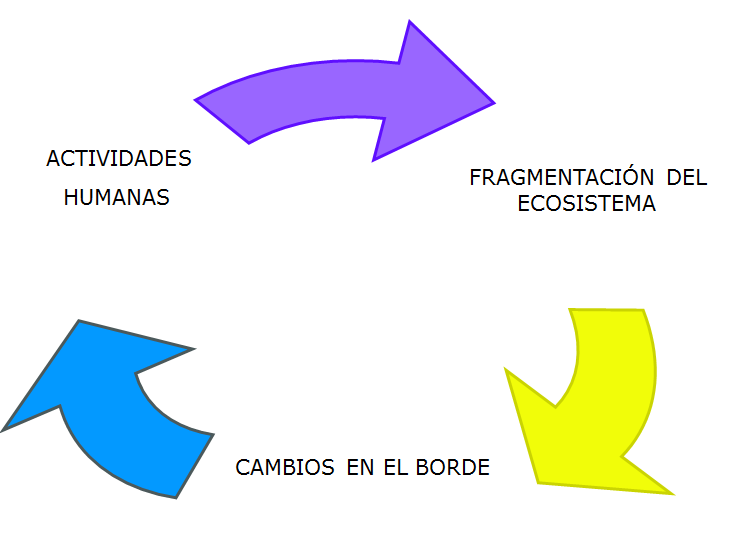 Áreas naturales protegidas. Categorías de Áreas naturales. Zonas intangibles, zonas de uso controlado y zonas y zonas reservadas. Parques nacionales, Reservas nacionales, Santuarios nacionales, Santuarios históricos.