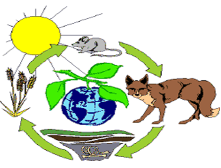 Áreas naturales protegidas. Categorías de Áreas naturales. Zonas intangibles, zonas de uso controlado y zonas y zonas reservadas. Parques nacionales, Reservas nacionales, Santuarios nacionales, Santuarios históricos.