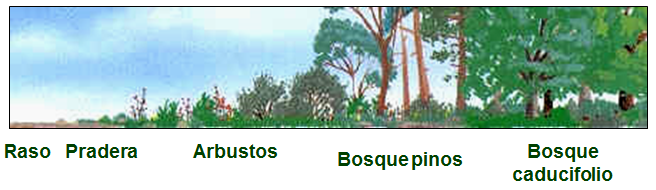 La biodiversidad en el País. Enfoque de los recursos de flora y fauna silvestre desde las zonas de vida natural. Estudio de los ecosistemas terrestres y acuáticos (marinos, lacustres y fluviales).