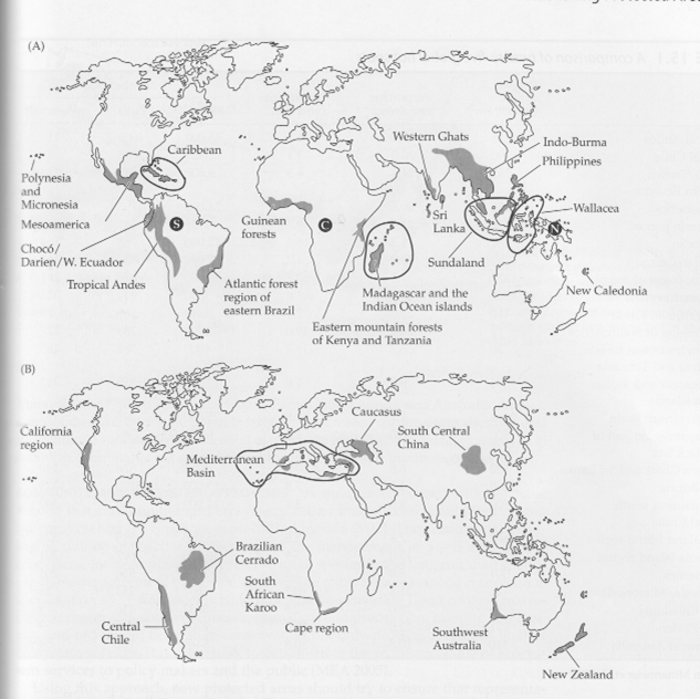 Areas naturales protegidas. Areas de uso indirecto Parques Nacionales, Santuarios nacionales, Santuarios históricos. Areas de uso Directo, Reservas Nacionales, Reservas Paisajísticas, Bosques de protección y Reservas Comunales