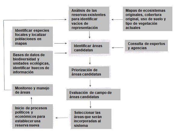 Areas naturales protegidas. Areas de uso indirecto Parques Nacionales, Santuarios nacionales, Santuarios históricos. Areas de uso Directo, Reservas Nacionales, Reservas Paisajísticas, Bosques de protección y Reservas Comunales