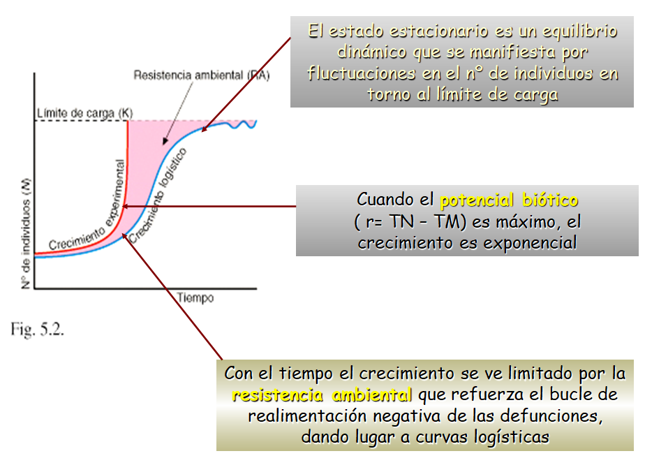 Especies amenazadas y en peligro de extinción
