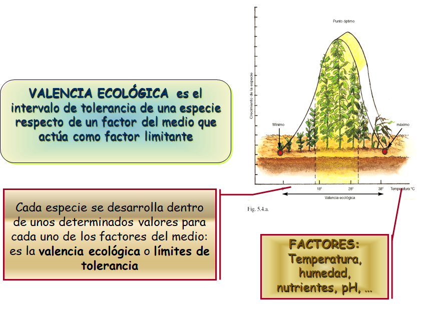 Especies amenazadas y en peligro de extinción