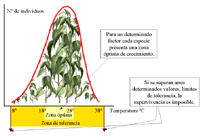 Especies amenazadas y en peligro de extinción