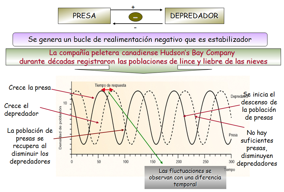 Especies amenazadas y en peligro de extinción