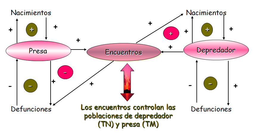 Especies amenazadas y en peligro de extinción
