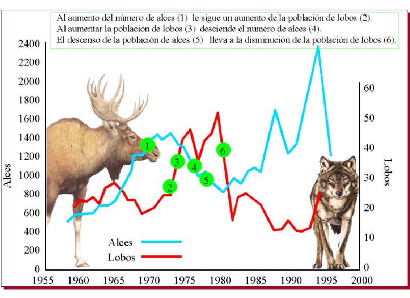 Especies amenazadas y en peligro de extinción