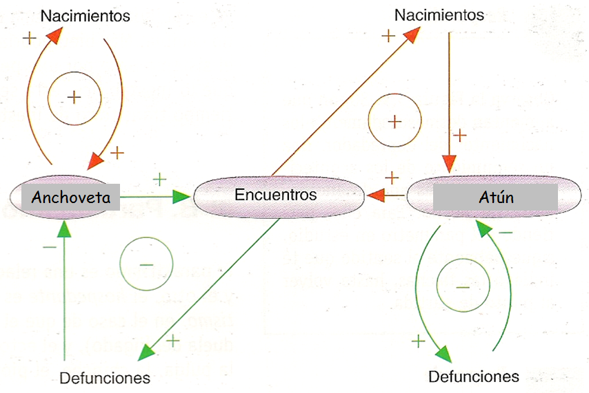 Especies amenazadas y en peligro de extinción