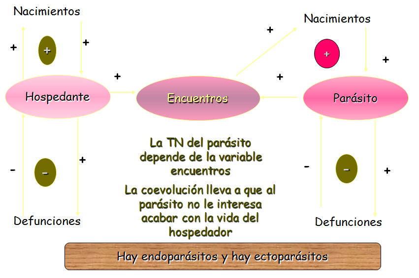 Especies amenazadas y en peligro de extinción