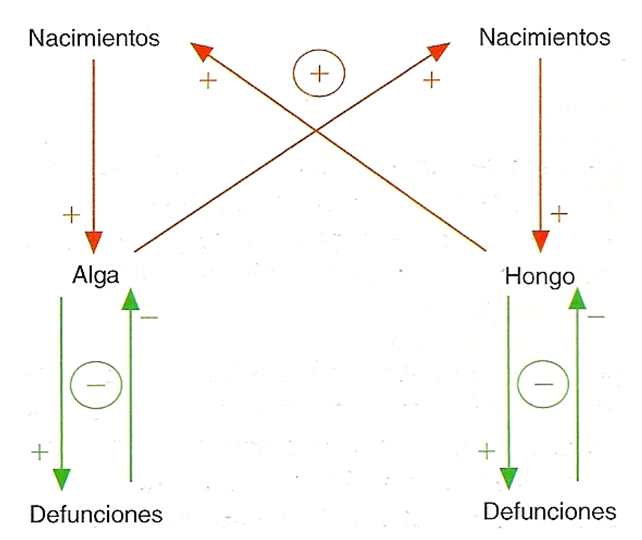 Especies amenazadas y en peligro de extinción