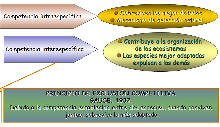 Especies amenazadas y en peligro de extinción
