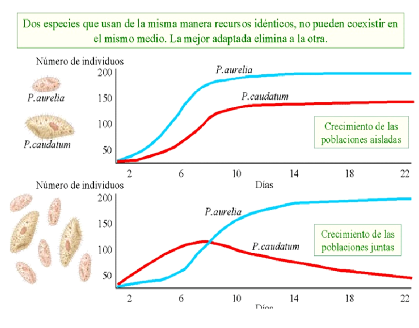 Especies amenazadas y en peligro de extinción