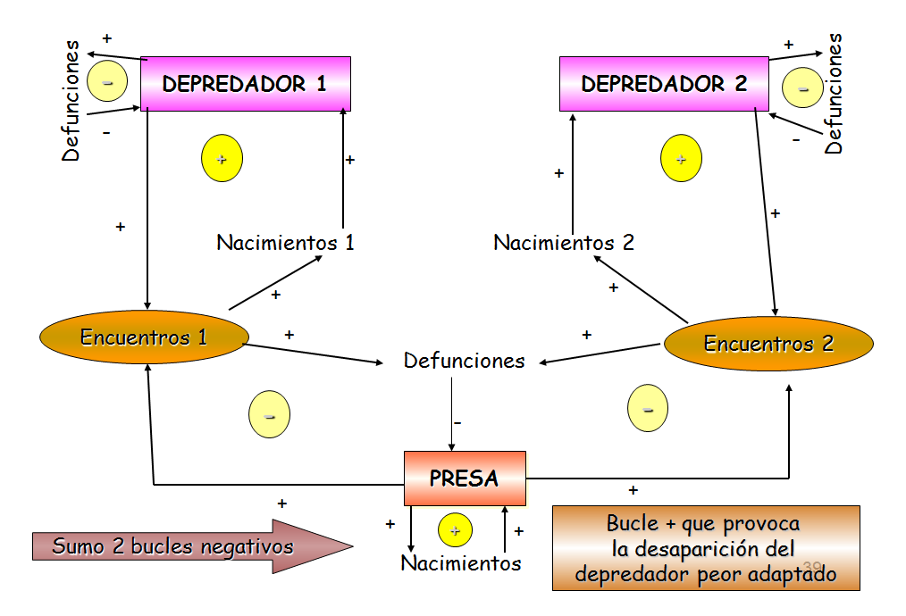 Especies amenazadas y en peligro de extinción
