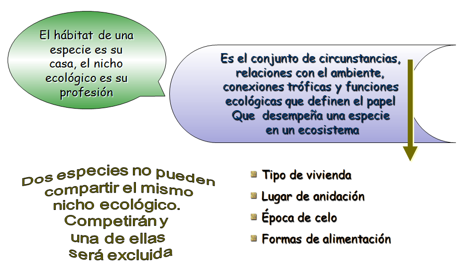 Especies amenazadas y en peligro de extinción