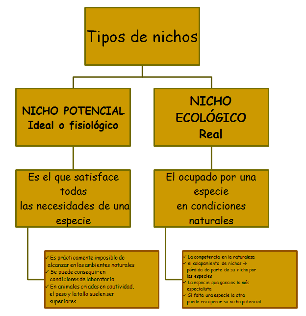 Especies amenazadas y en peligro de extinción