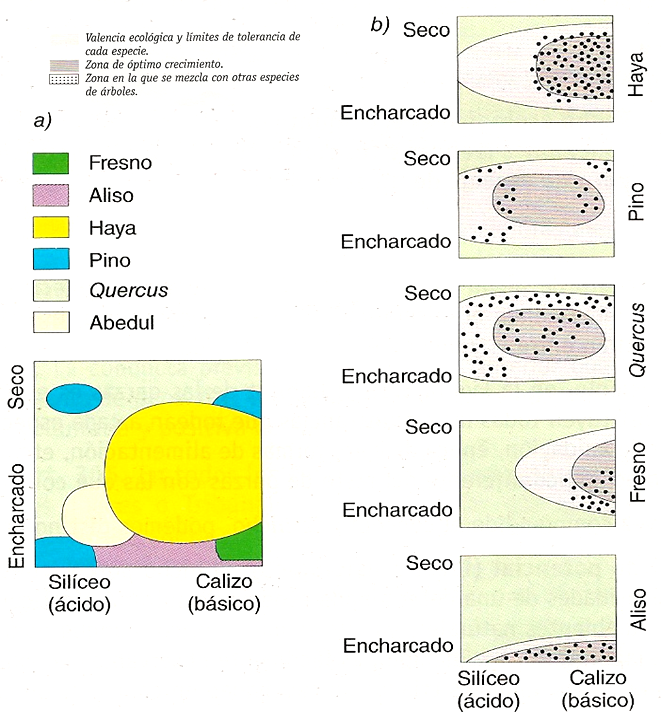 Especies amenazadas y en peligro de extinción