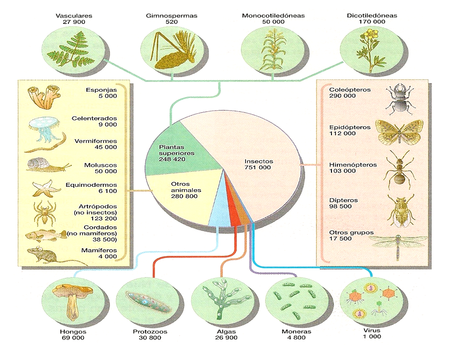 Especies amenazadas y en peligro de extinción