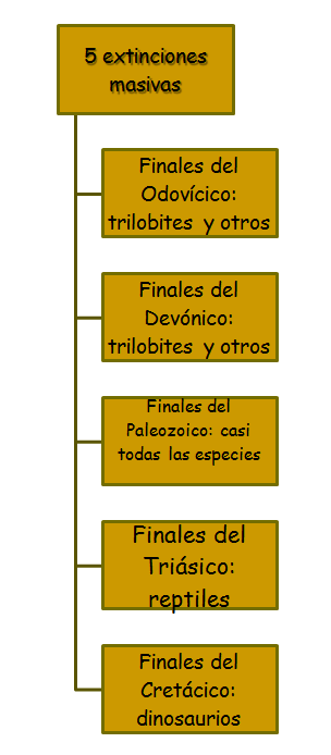 Especies amenazadas y en peligro de extinción