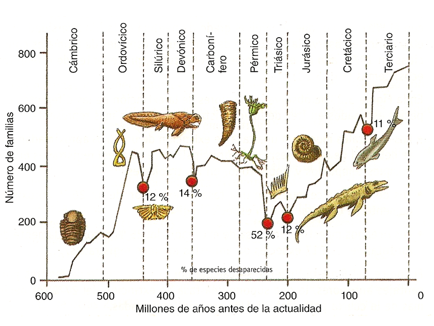 Especies amenazadas y en peligro de extinción