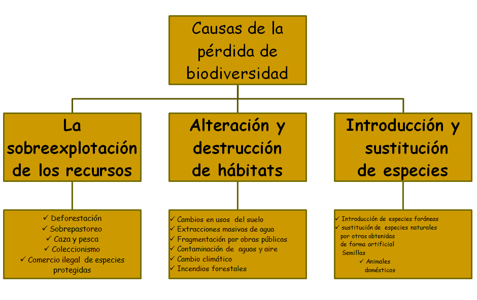 Especies amenazadas y en peligro de extinción