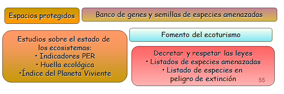 Especies amenazadas y en peligro de extinción